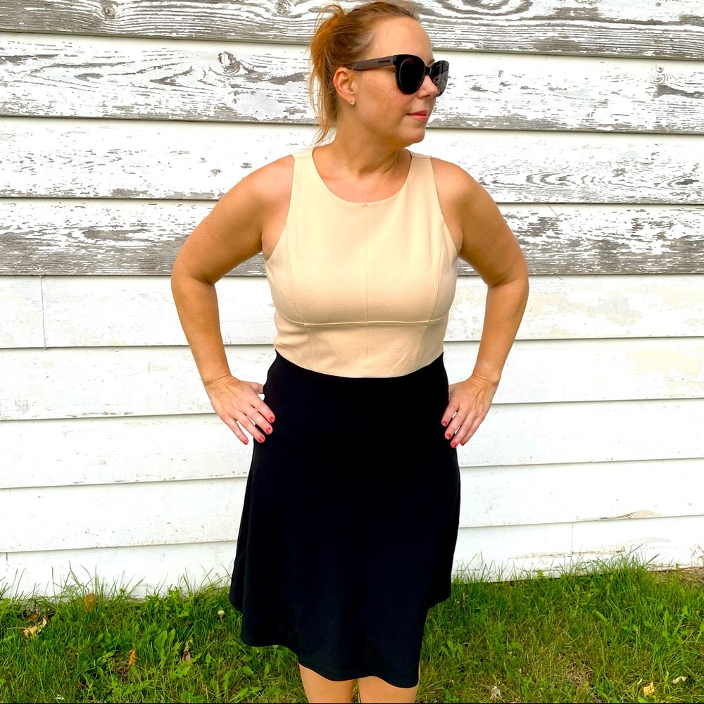 Ann Taylor Fit and Flare Cream and Black Dress sz 12 - Picture 13 of 13